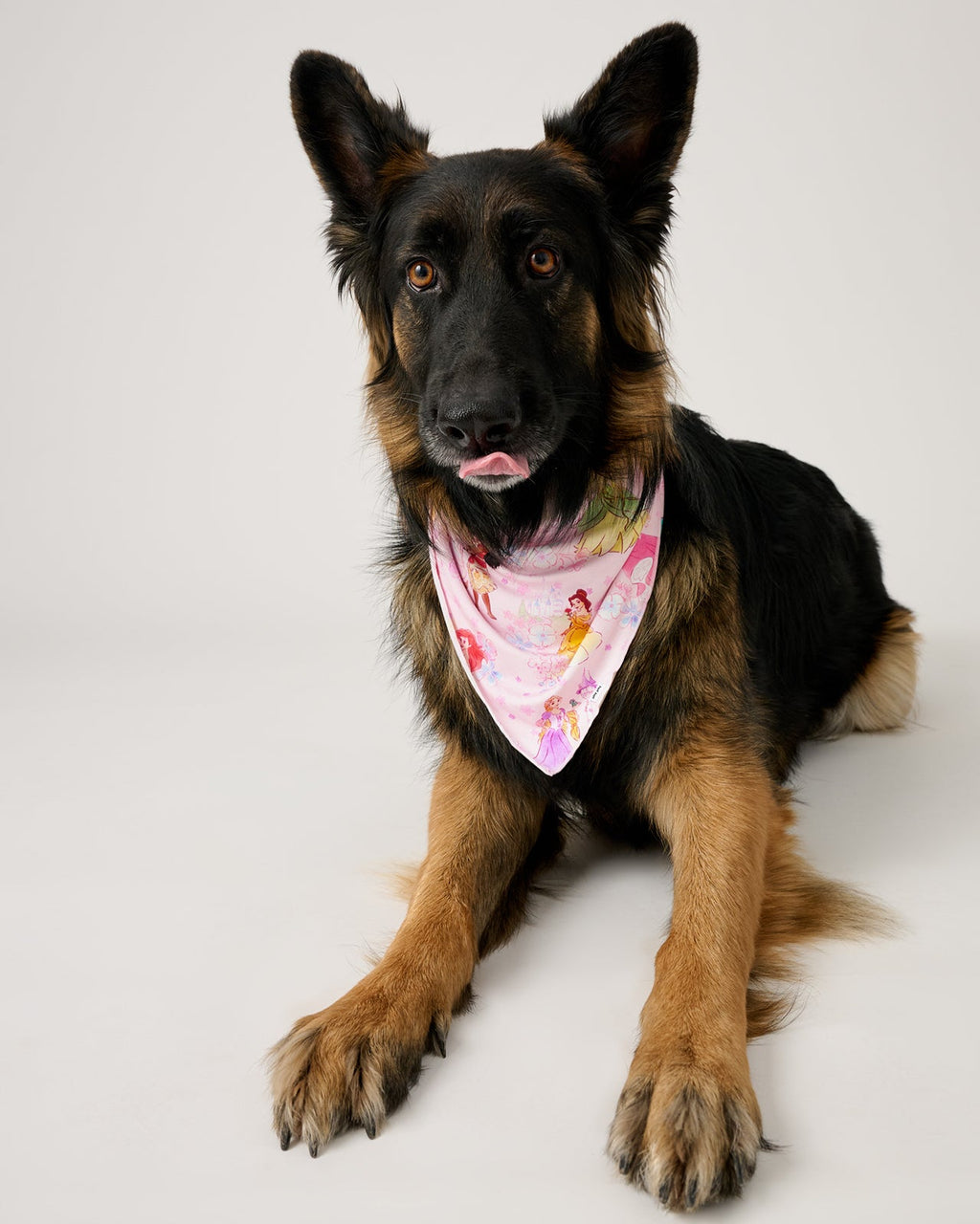 Disney Princess Garden Pet Bandana